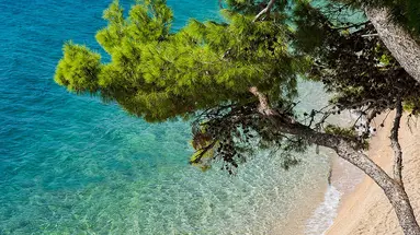 HOLIDAY VILLAGE SAGITTA