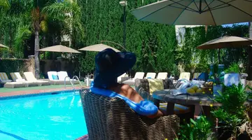 Hollywood Hotel