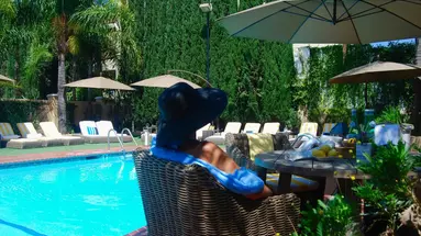 Hollywood Hotel