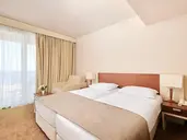Hotel Albatros Plava Laguna