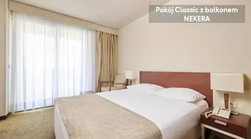 Hotel Albatros Plava Laguna