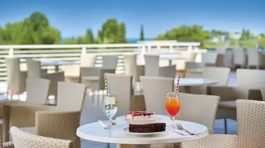 Hotel Albatros Plava Laguna