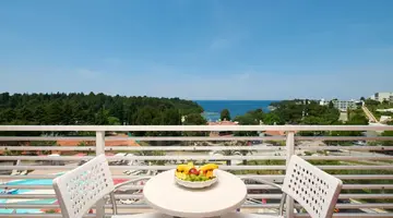 Hotel ALBATROS Plava Laguna