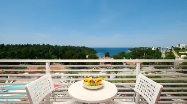 Hotel Albatros Plava Laguna