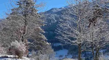 Hotel Albergo Panorama