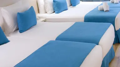 HOTEL ALEGRIA MARIPINS - MALGRAT DE MAR