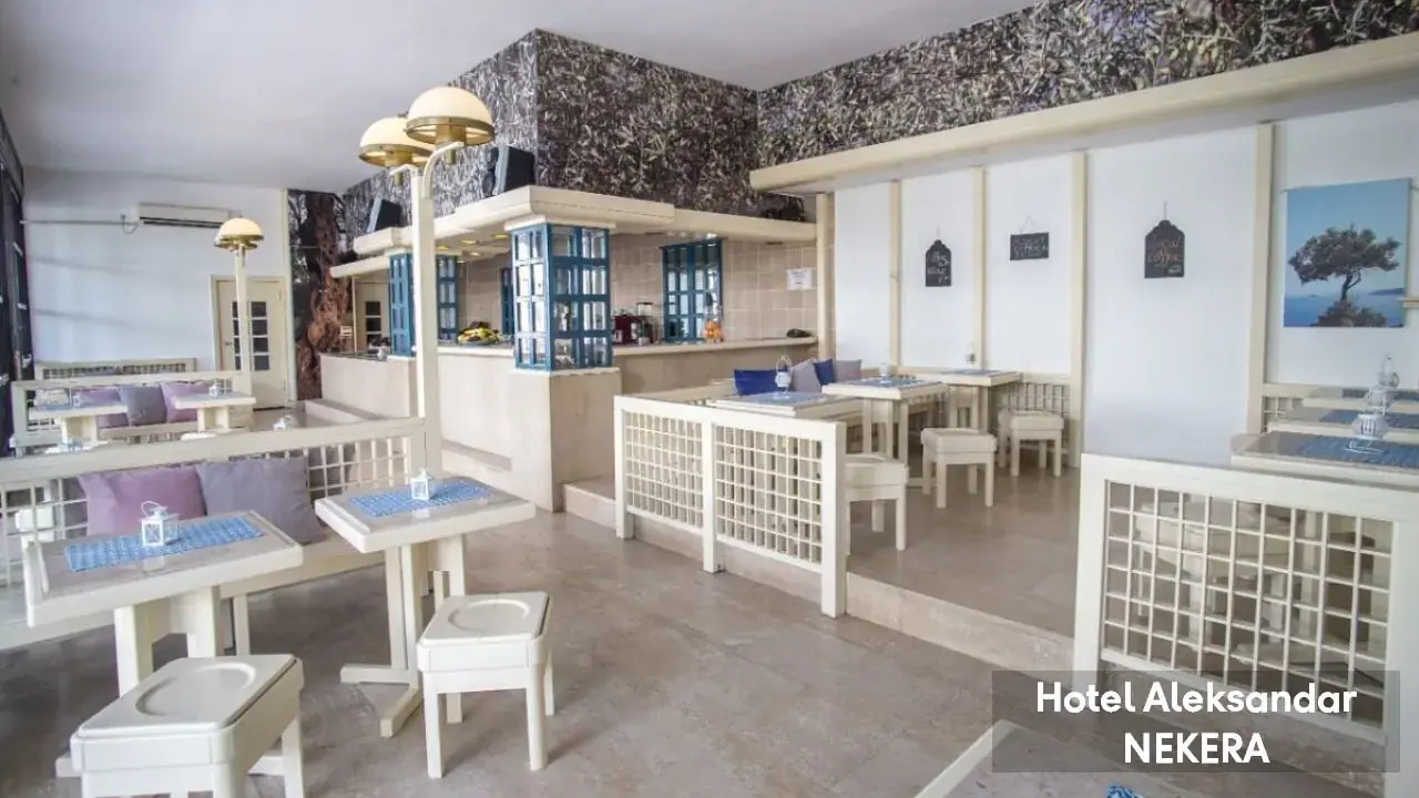 HOTEL ALEKSANDAR