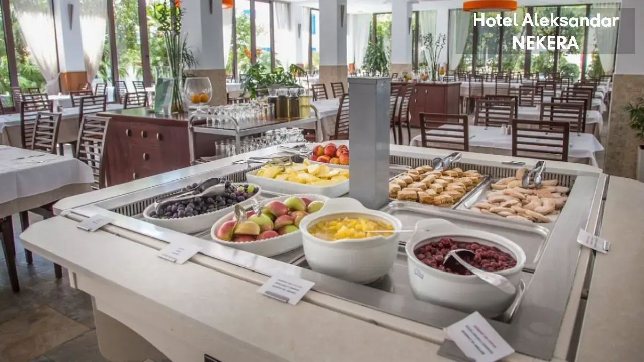 HOTEL ALEKSANDAR