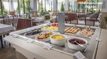 HOTEL ALEKSANDAR