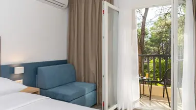 Hotel Alem