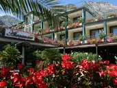 Hotel Alexander