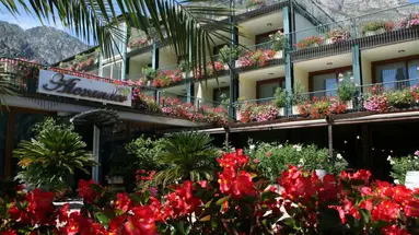 Hotel Alexander