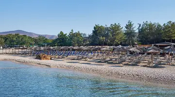 Hotel Alexandra Elegance