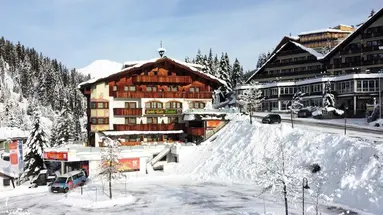 Hotel Almhof