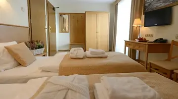 Hotel Alpejski