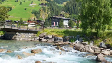 Hotel Alpenhof