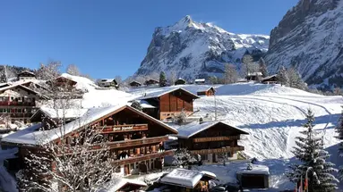 Hotel Alpenhof