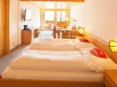 Hotel Alpenhof