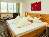 Hotel Alpina Resort
