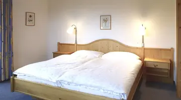 Hotel Alpina
