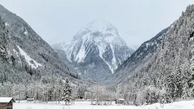 Hotel Alpina