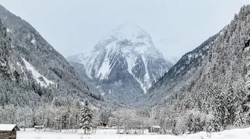 Hotel Alpina