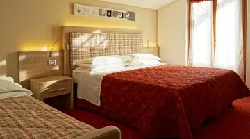 Hotel Alpina***