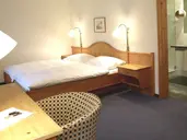 Hotel Alpina