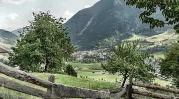 Hotel Alpina