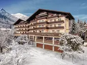 Hotel Alpina