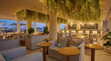 Hotel Alua Soul