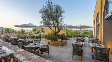 Hotel Apollonion Asterias Resort & Spa
