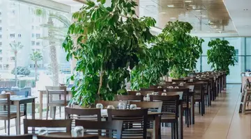 Hotel AR Diamante Beach Spa