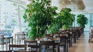Hotel AR Diamante Beach Spa