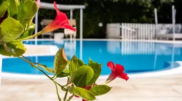 Hotel Aria di Mare