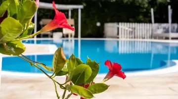 Hotel Aria di Mare