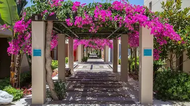 Hotel Astir Odysseus Resort & SPA