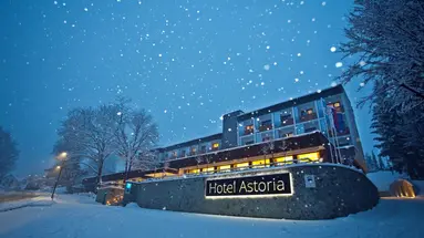 Hotel Astoria Bled