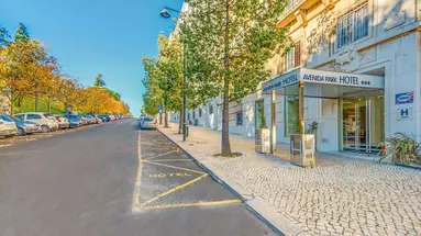 Hotel Avenida Park