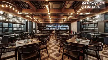 HOTEL AX ODYCY