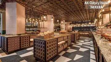 HOTEL AX ODYCY