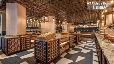HOTEL AX ODYCY