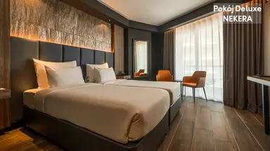 HOTEL AX ODYCY