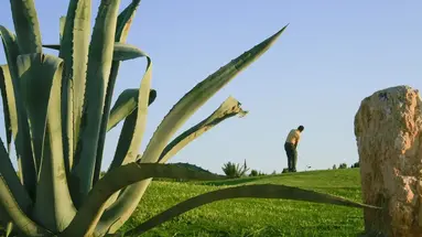 Hotel Aziza Thalasso Golf (Adults Only 16+)