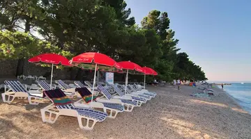 Hotel Bacchus
