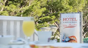 Hotel Bacchus