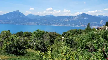 Hotel Belvedere