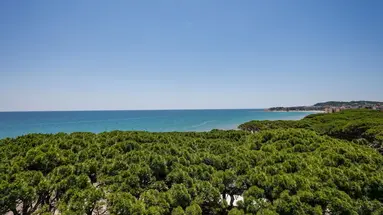 Hotel Best Terramarina