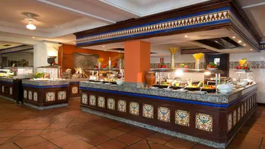 HOTEL BLUEBAY BANUS