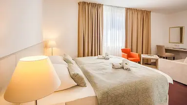 HOTEL BOROVNIK